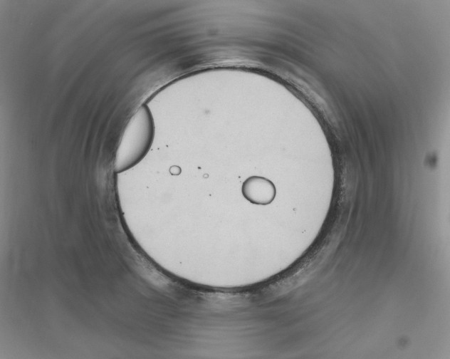 X0000116891281201002021201