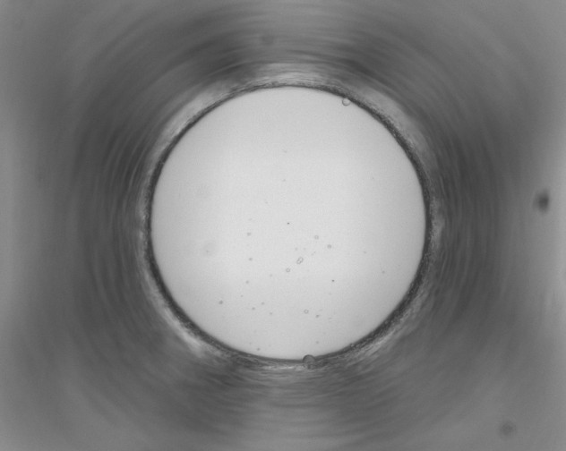 X0000116891282201002021201