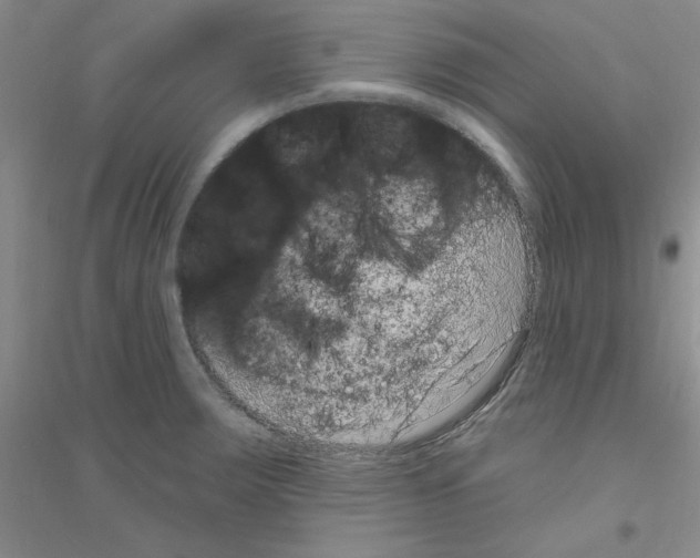 X0000116891283201002021201