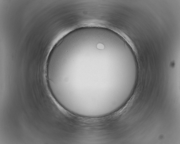 X0000116891285201002021201