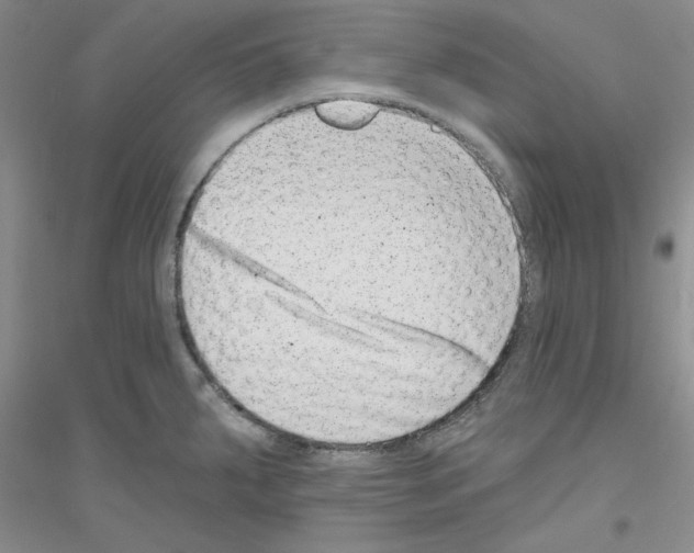 X0000116891287201002021201