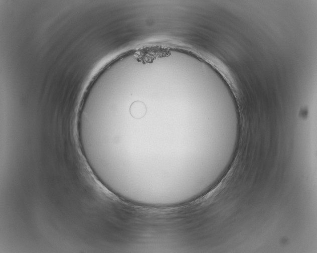 X0000116891288201002021201