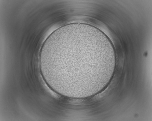 X0000116891290201002021201