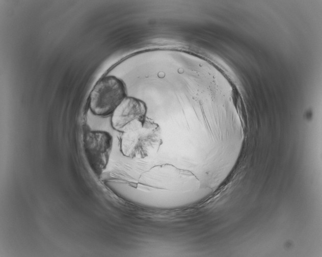 X0000116891291201002021201