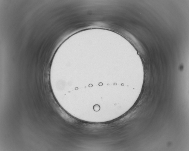 X0000116891292201002021201