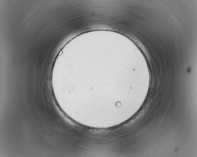 X0000116891293201002021201