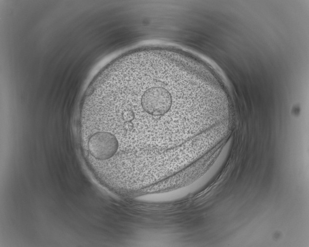 X0000116891295201002021201