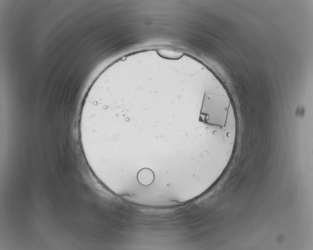 X0000116891296201002021201