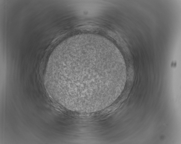 X0000116891297201002021200