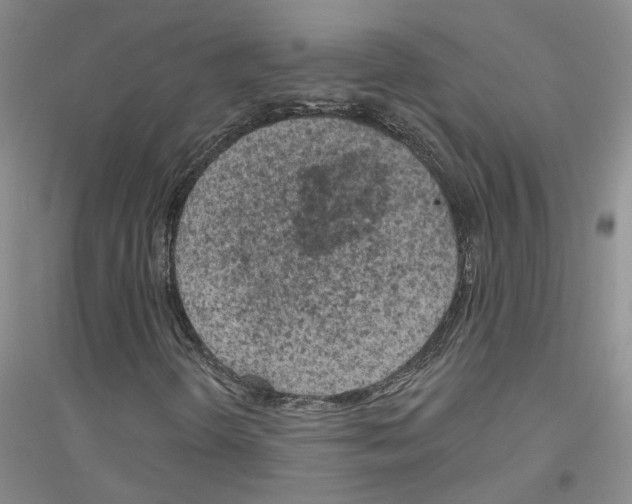 X0000116891298201002021200