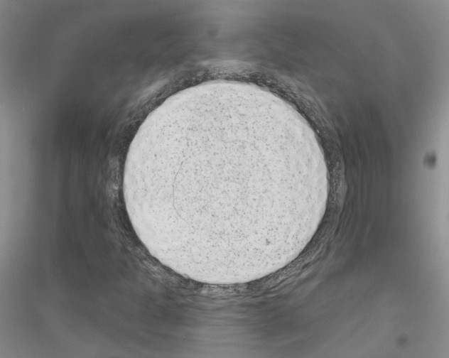 X0000116891301201002021200