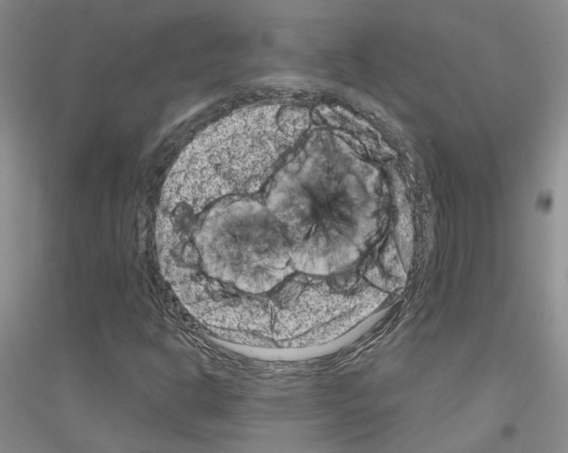 X0000116891302201002021201