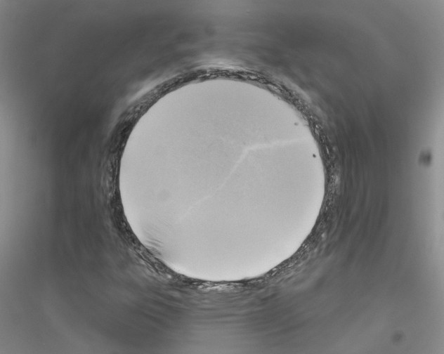 X0000116891303201002021201