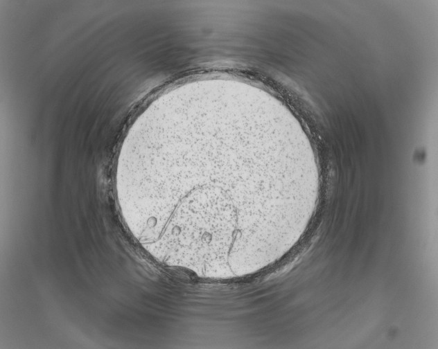 X0000116891305201002021201