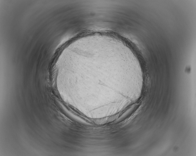 X0000116891306201002021201