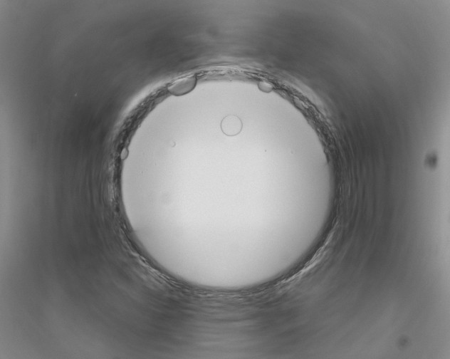 X0000116891310201002021201