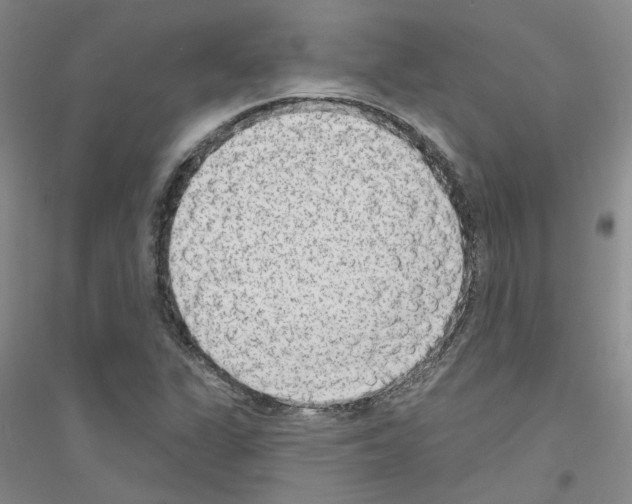 X0000116891311201002021201