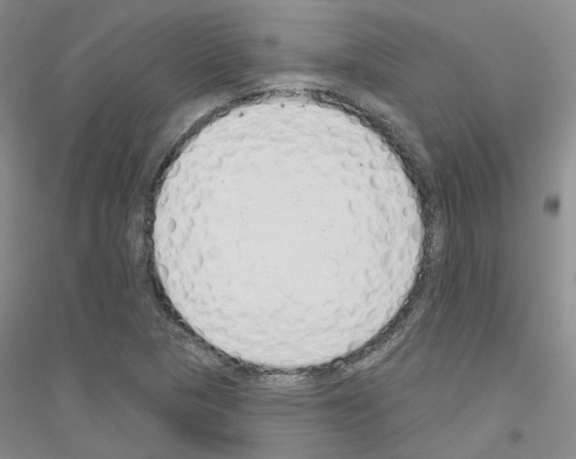 X0000116891313201002021201