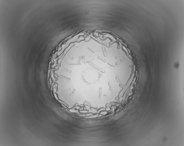 X0000116891314201002021201