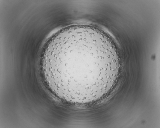 X0000116891315201002021201