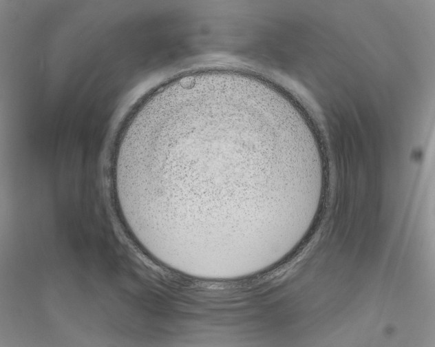 X0000116891318201002021201