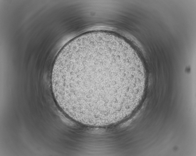 X0000116891321201002021201