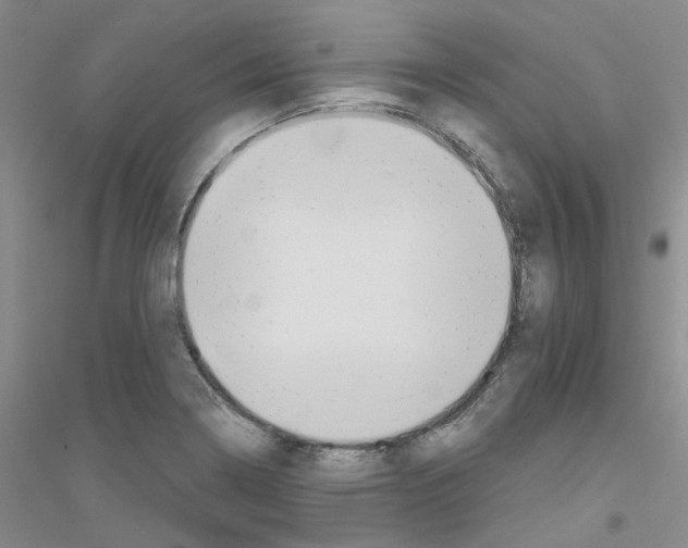 X0000116891322201002021201