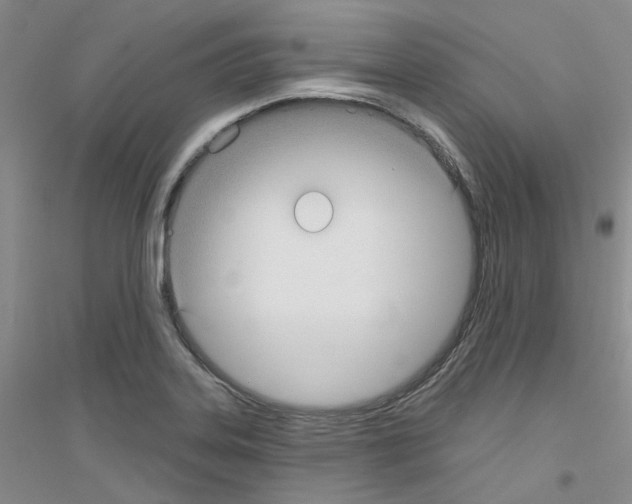 X0000116891323201002021201