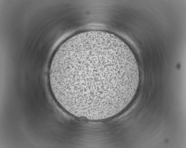 X0000116891325201002021201