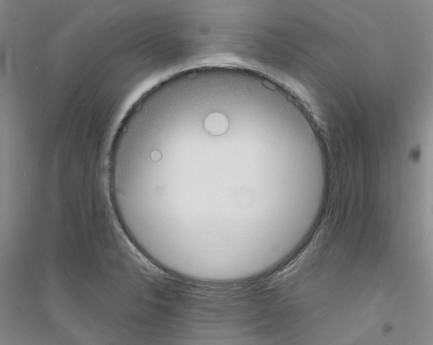 X0000116891326201002021201