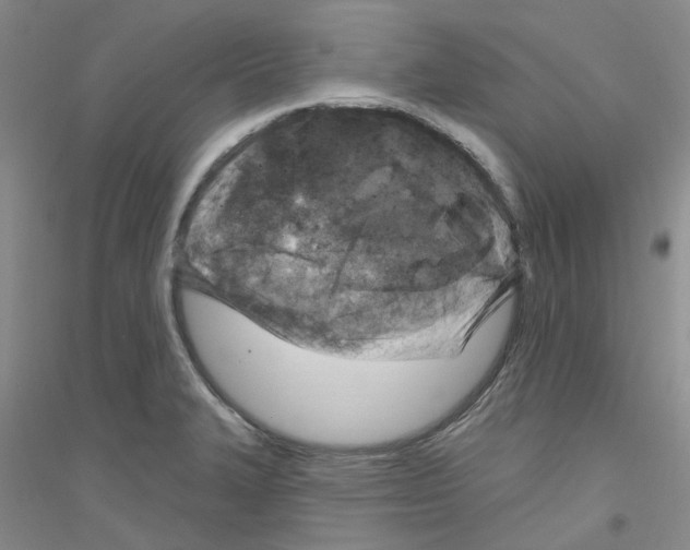 X0000116891327201002021201