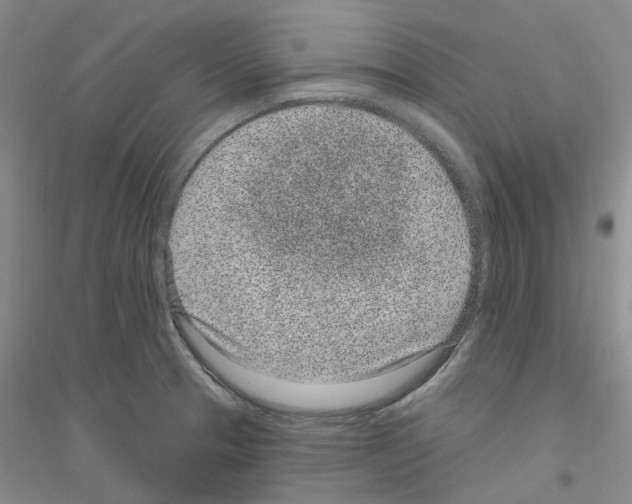 X0000116891329201002021201