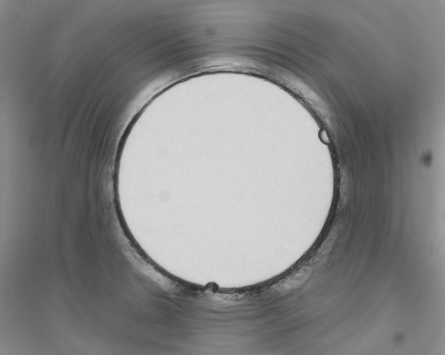 X0000116891330201002021201