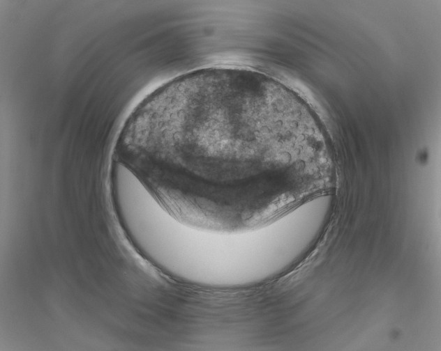 X0000116891331201002021201