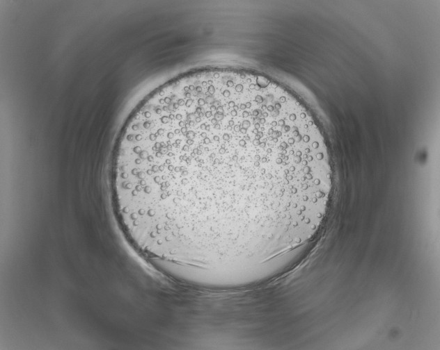 X0000116891335201002021201