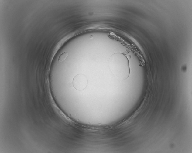 X0000116891338201002021201