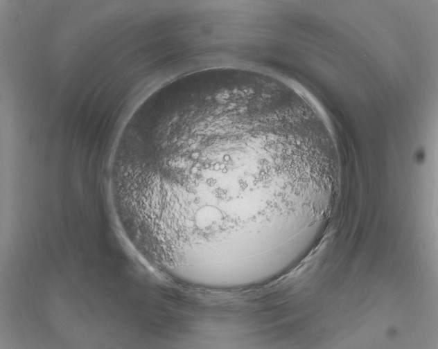 X0000116891341201002021201