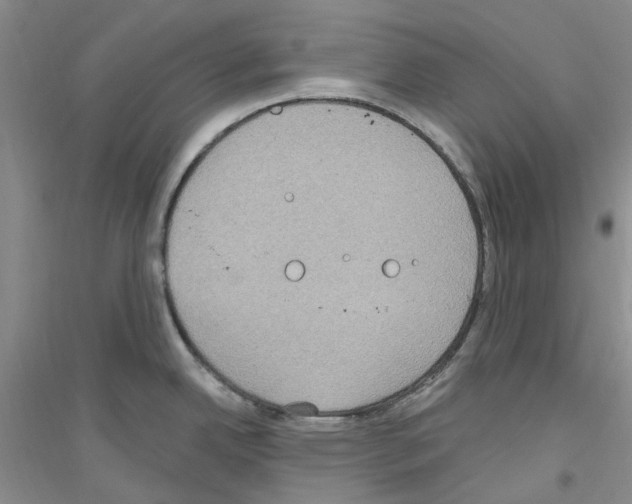 X0000116891342201002021201