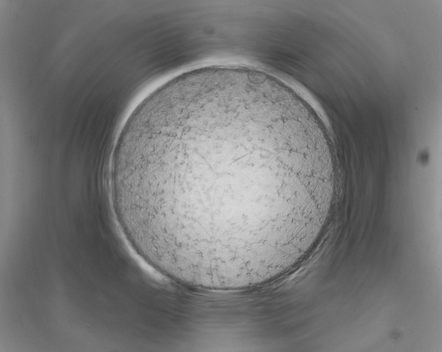 X0000116891343201002021201