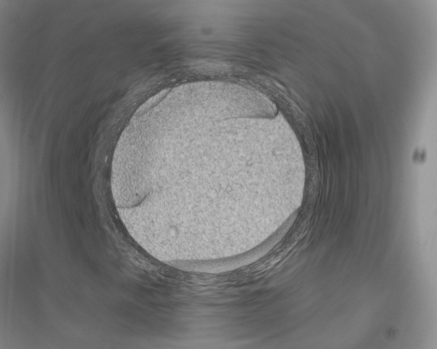 X0000116891345201002021200