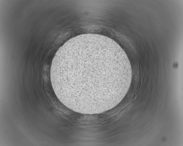 X0000116891346201002021200