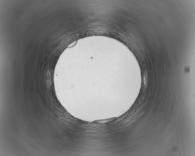 X0000116891347201002021200