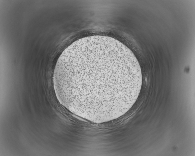 X0000116891348201002021200