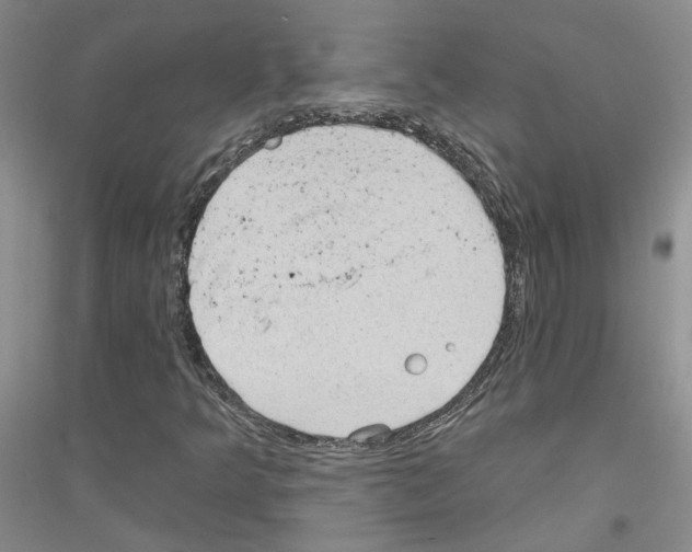 X0000116891349201002021200