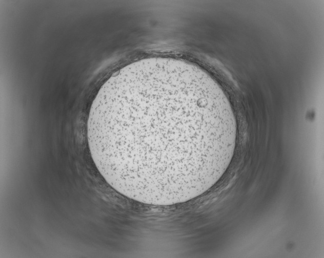 X0000116891350201002021200