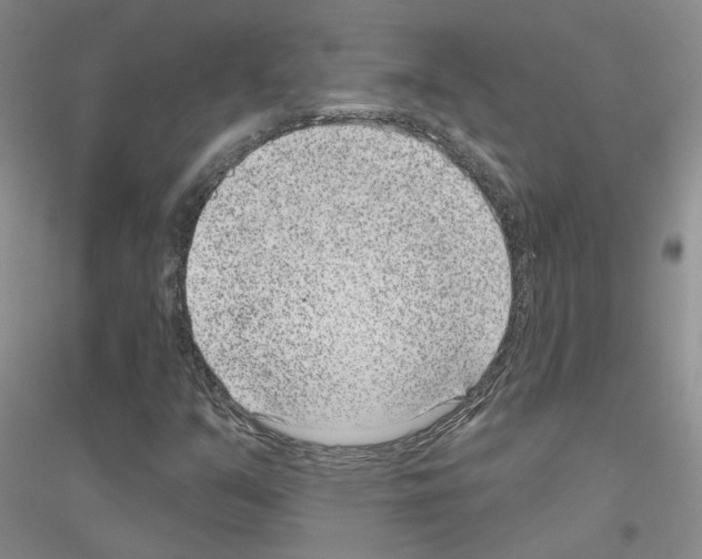 X0000116891351201002021200