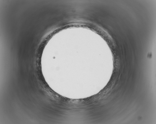 X0000116891352201002021200