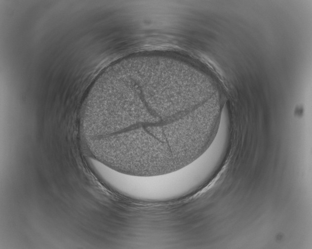 X0000116891353201002021200