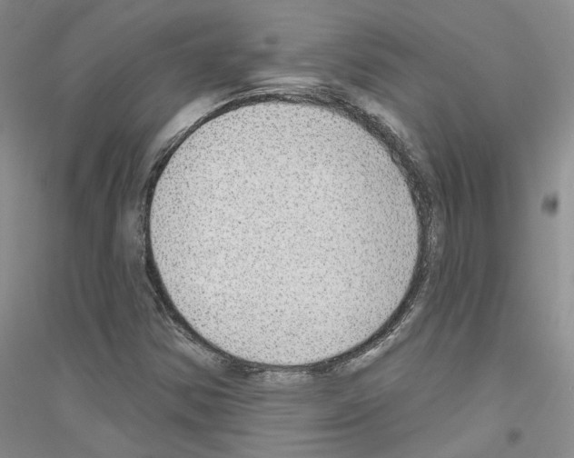 X0000116891354201002021200