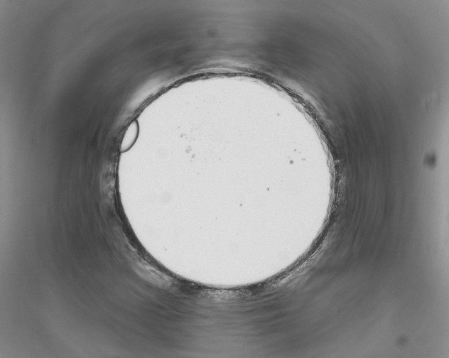 X0000116891355201002021200